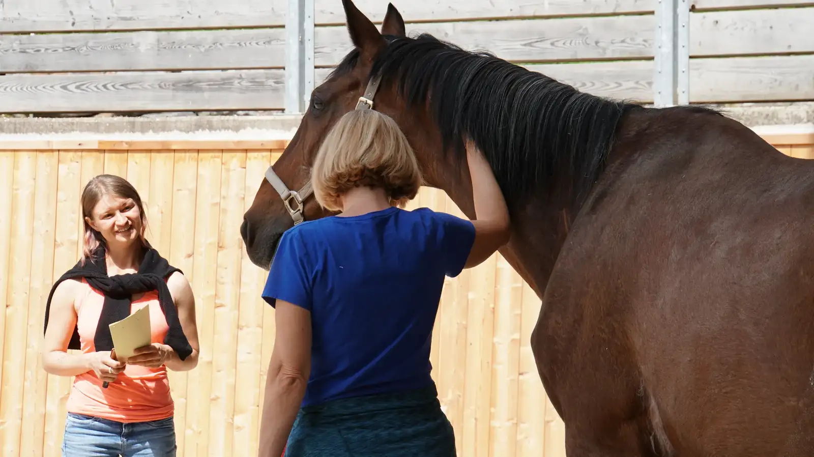Zwei Personen stehen bei einem Pferd am Stall
