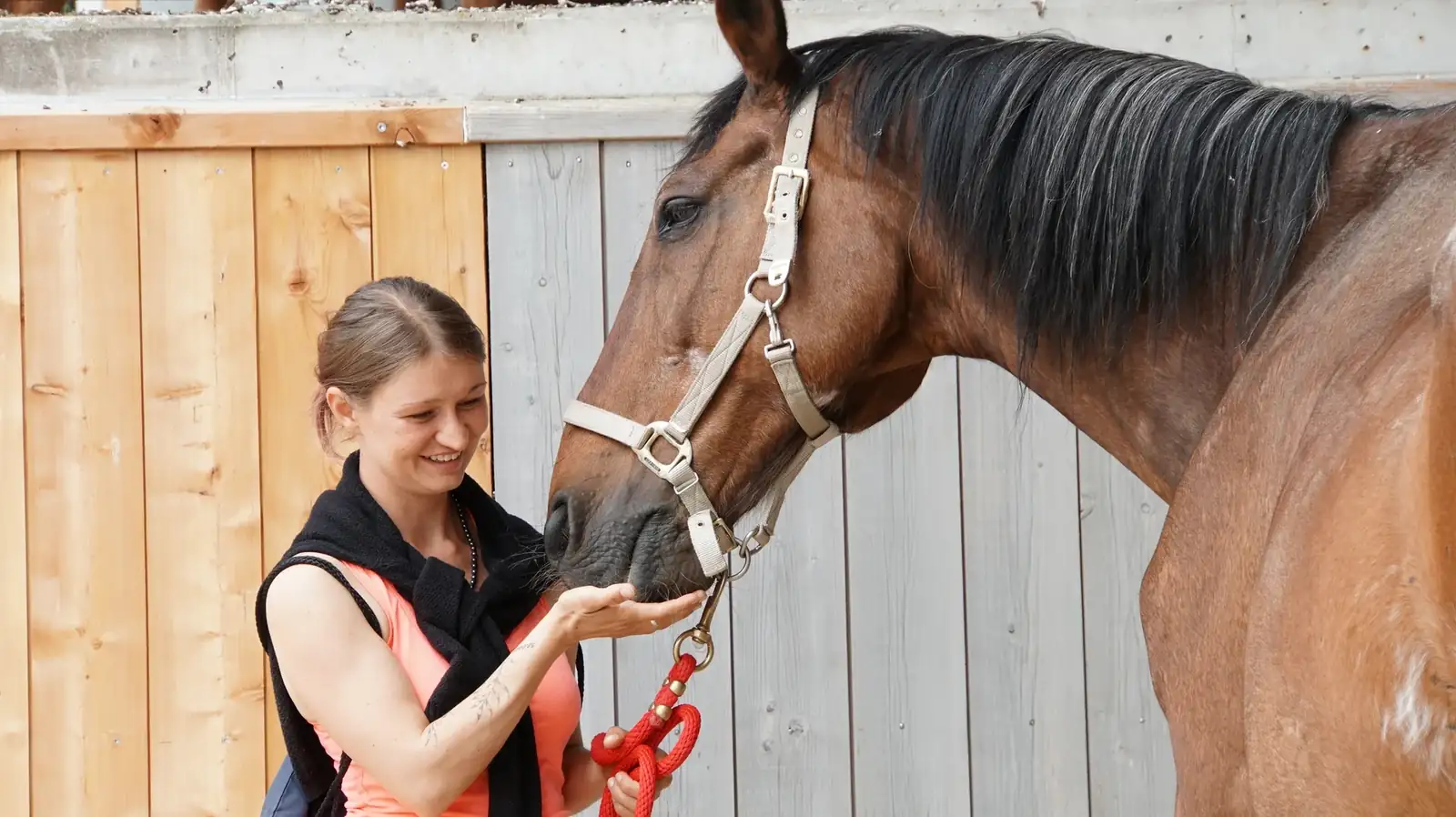 Loredana begruesst ein Pferd mit offener Hand